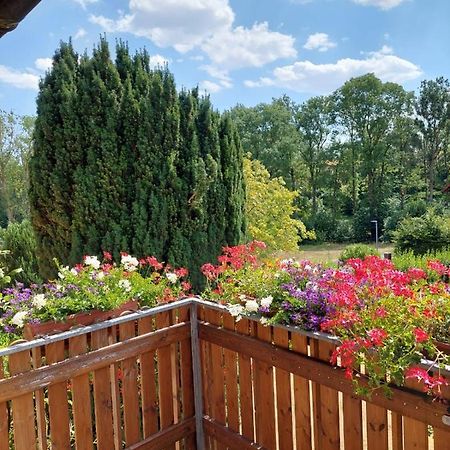 Ferienwohnung Meissner Bad Rodach Zewnętrze zdjęcie